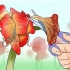 Får en amaryllis att blomma igen