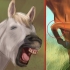 Skapa ett band med din häst genom natural horsemanship