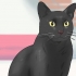 Identifiera en bombay cat