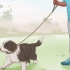 Att träna en border collie-valp