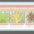 Ta hand om en bromeliad
