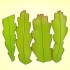 Odla en epiphyllum cactus