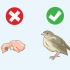 Hjälper en fallen boflygare