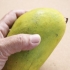 Att välja en bra mango