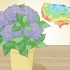 Plantera en hortensia