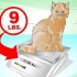 Få en katt att komma