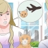 Transportera en katt med flyg