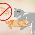 Att få en kattunge att älska vatten
