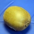 Mogna en kiwi