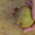 Skala en kiwi