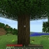 Hur man skapar en skylt i minecraft