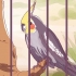 Hur man tämjer en cockatiel