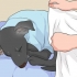 Behandla en kall hund