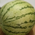 Att välja en vattenmelon