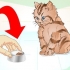Låta en sjuk kattunge äta