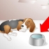 Hjälper en sjuk hund att dricka