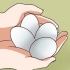 Pastörisera ägg