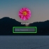 Återställa administratörslösenordet på mac os x