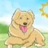 Raka din hund