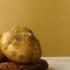 Förbereder jicama