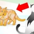 Rätt hantera en aggressiv katt