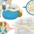 Välj mellan yoga och pilates