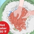 Behandling av kroppslöss