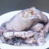 Förbered bläckfisk