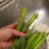 Laga okra