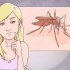 Att skilja mellan malaria, dengue och chikungunya