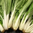 Skiva pak choi
