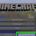 Visa skärmdumpar i minecraft