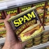 Förbered spam