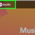 Använder spotify