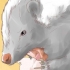 Skrämma bort skunks