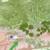Bli av med japansk knotweed