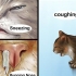 Behandla en förkylning hos en katt