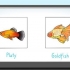 Mata fisk
