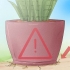 Att ta hand om en sansevieria