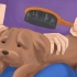 Att ta hand om en shih tzu