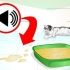 Förhindra din katt från att kissa på platser där det inte är tillåtet