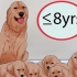 Att veta när man ska sluta föda upp en honhund
