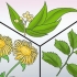 Förebygga tunga perioder: kan det göras naturligt?
